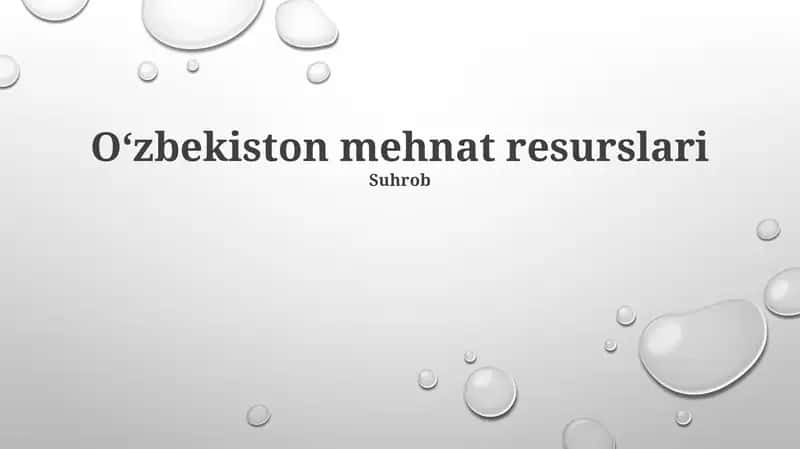 Oʻzbekiston mehnat resurslari 1