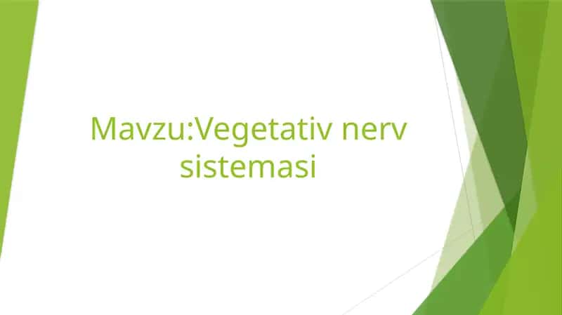 mustaqil ish fiziologiya 1