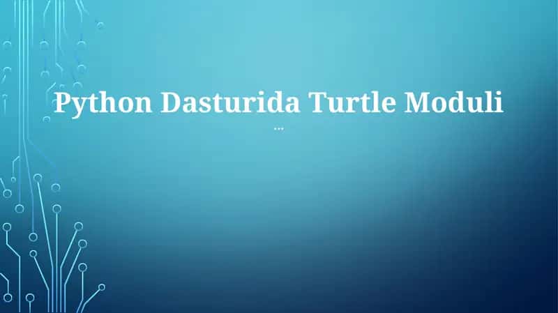 Turtle Moduli 1