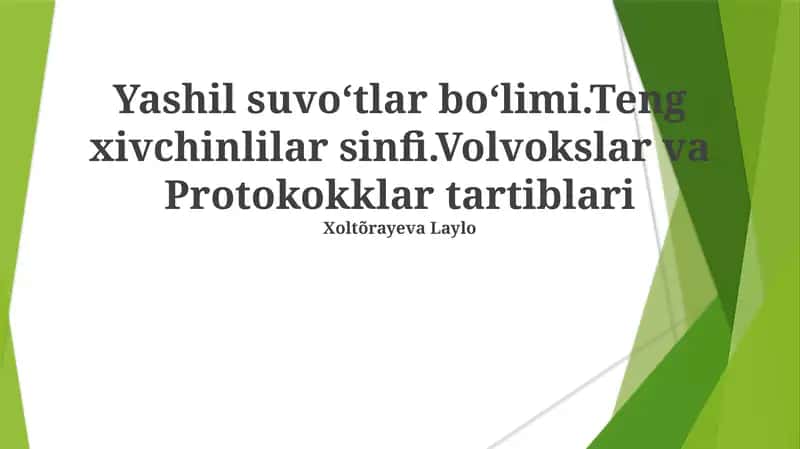 Volvokslar va Protokokklar tartiblari 1