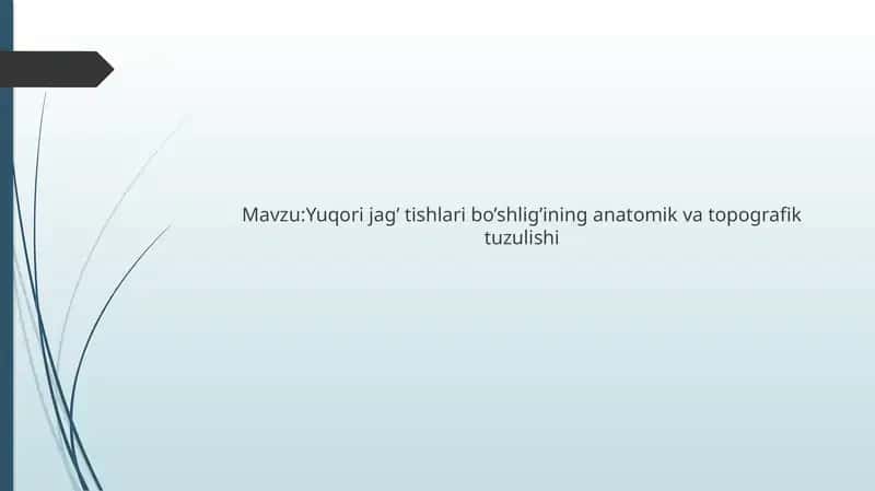 Yuqori jag’ tishlari bo’shlig’ining anatomik va topografik tuzulishi 1