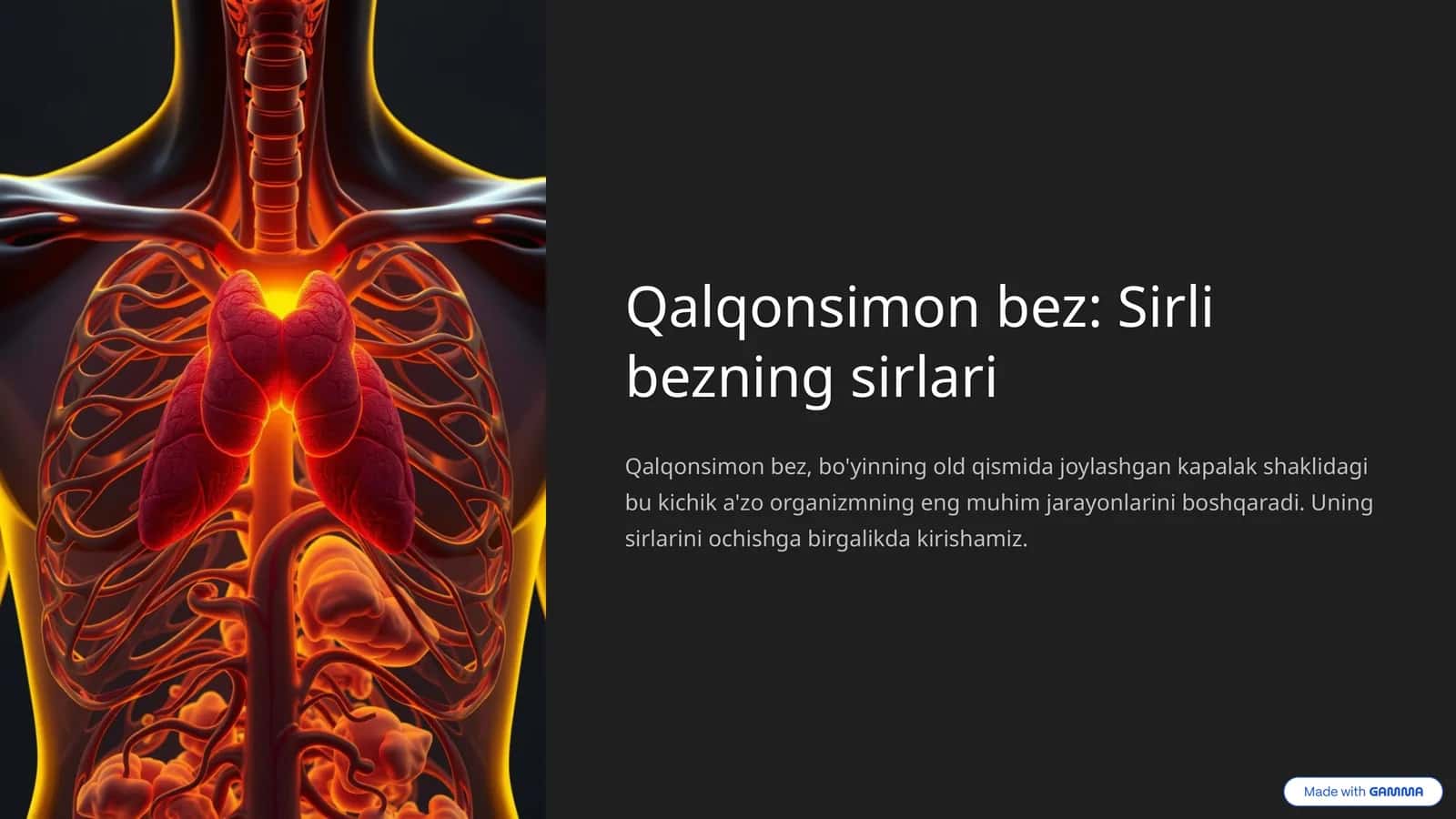 Qalqonsimon bez: Sirli bezning sirlari 1