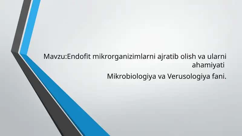 Endofit mikrorganizimlarni ajratib olish va ularni ahamiyati 1