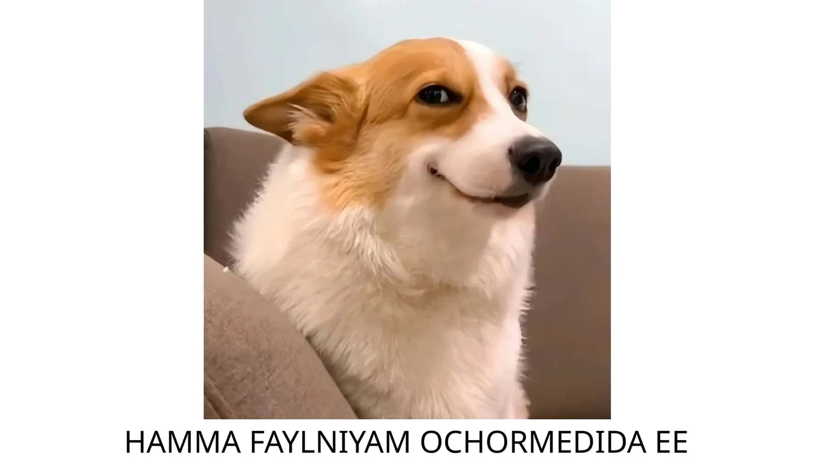 HAMMA FAYLNIYAM OCHORMEDIDA EE 1