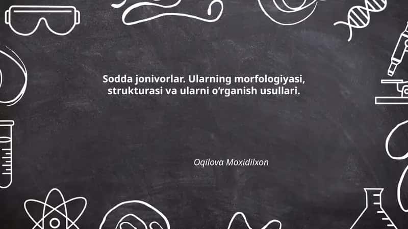 Sodda jonivorlar 1