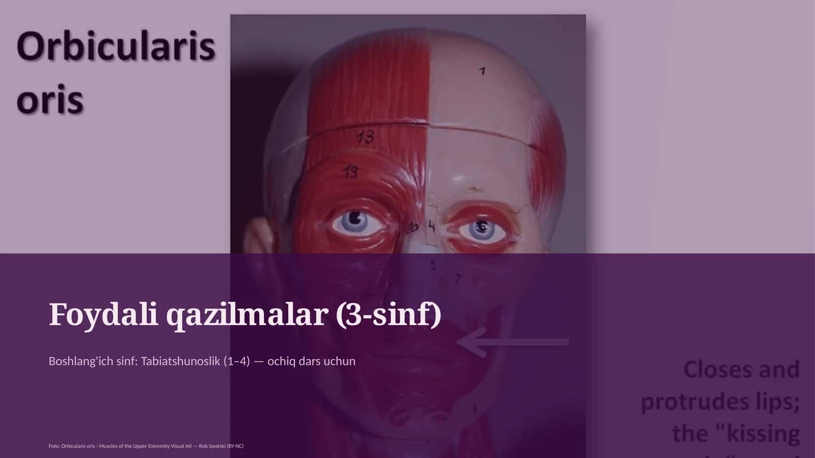Foydali qazilmalar (3-sinf) 1