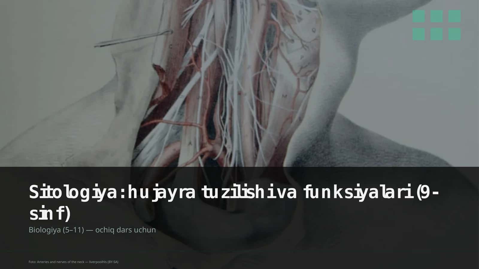 Sitologiya: hujayra tuzilishi va funksiyalari (9-sinf) 1