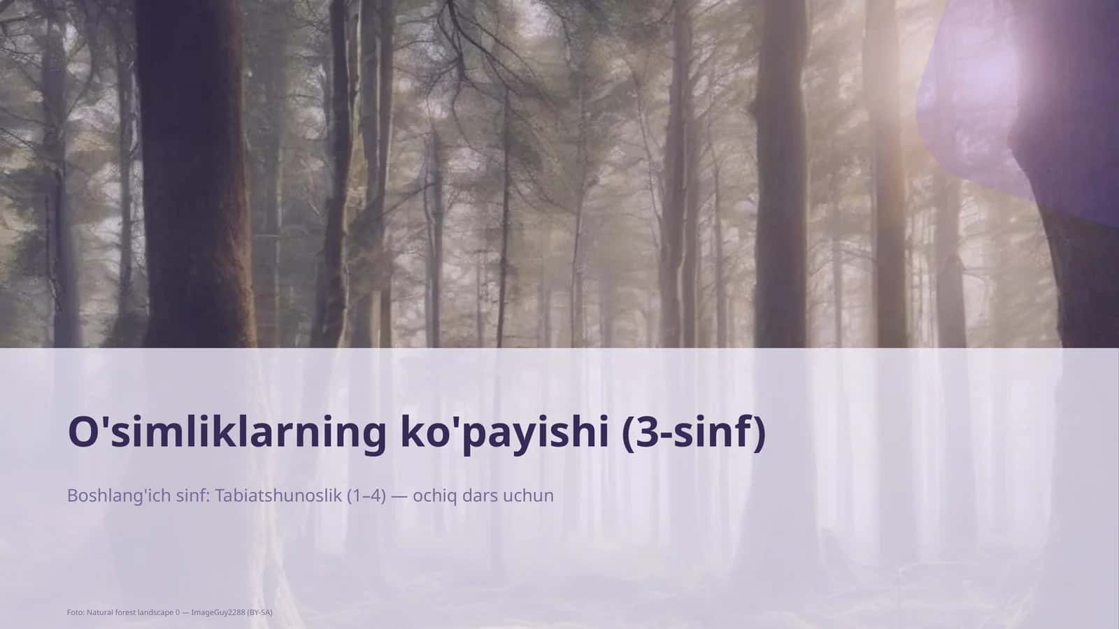 O'simliklarning ko'payishi (3-sinf) 1