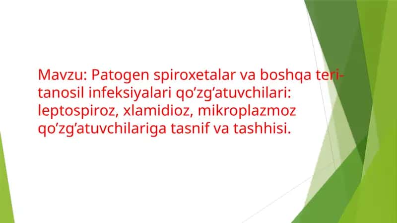 Patogen spiroxetalar va boshqa teri-tanosil infeksiyalari qo’zg’atuvchilari: zaxm, qaytalama tif. 1