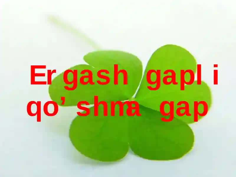 Ergash gapliqo’shma gap