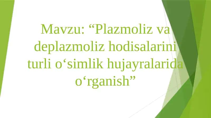 Plazmoliz va deplazmoliz hodisalarini turli o‘simlik hujayralarida o‘rganish 1