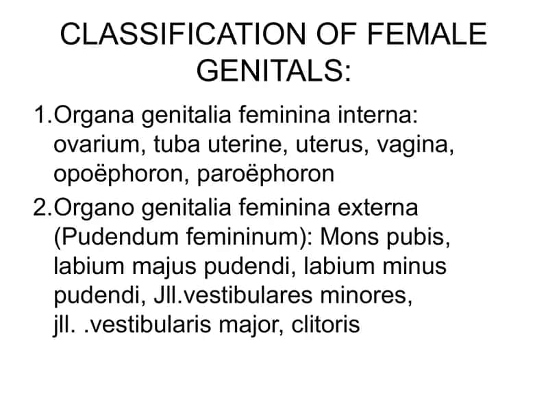 CLASSIFICATION OF FEMALE GENITALS: 1
