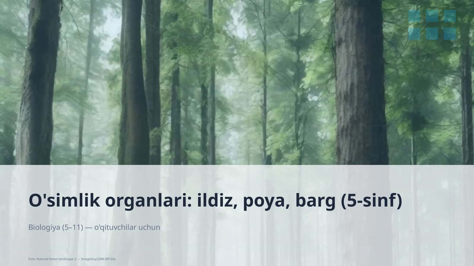 O'simlik organlari (5-sinf) Biologiya (5– 1