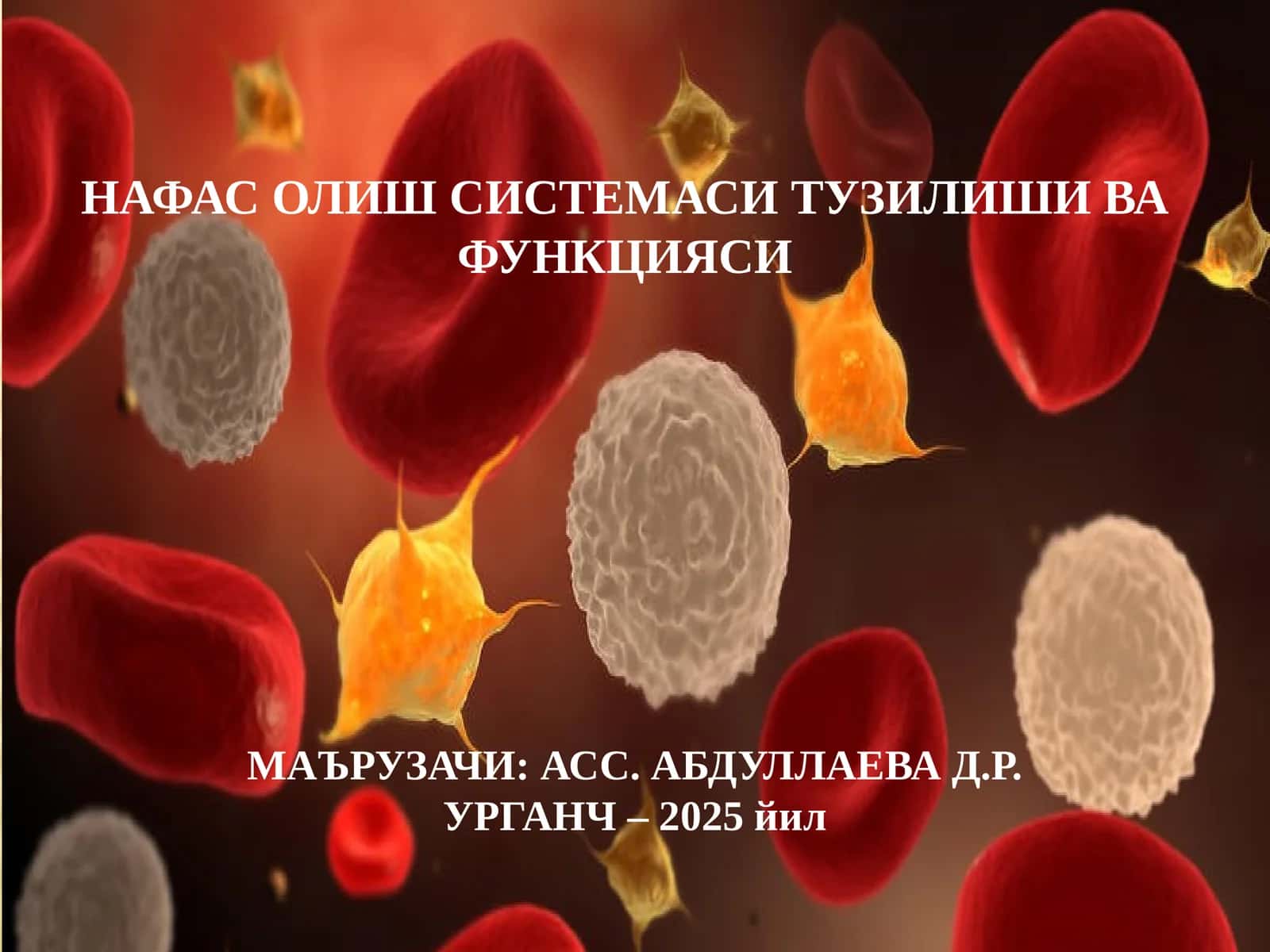 НАФАС ОЛИШ СИСТЕМАСИ ТУЗИЛИШИ ВА ФУНКЦИЯСИ 1