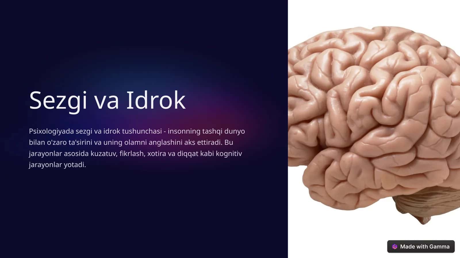 Sezgi va Idrok 1
