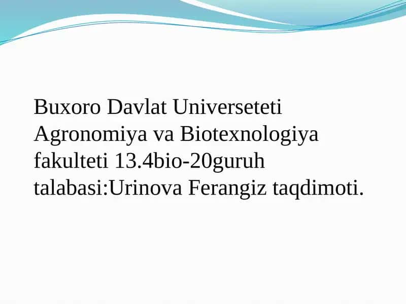 Yalpizdoshlar 1