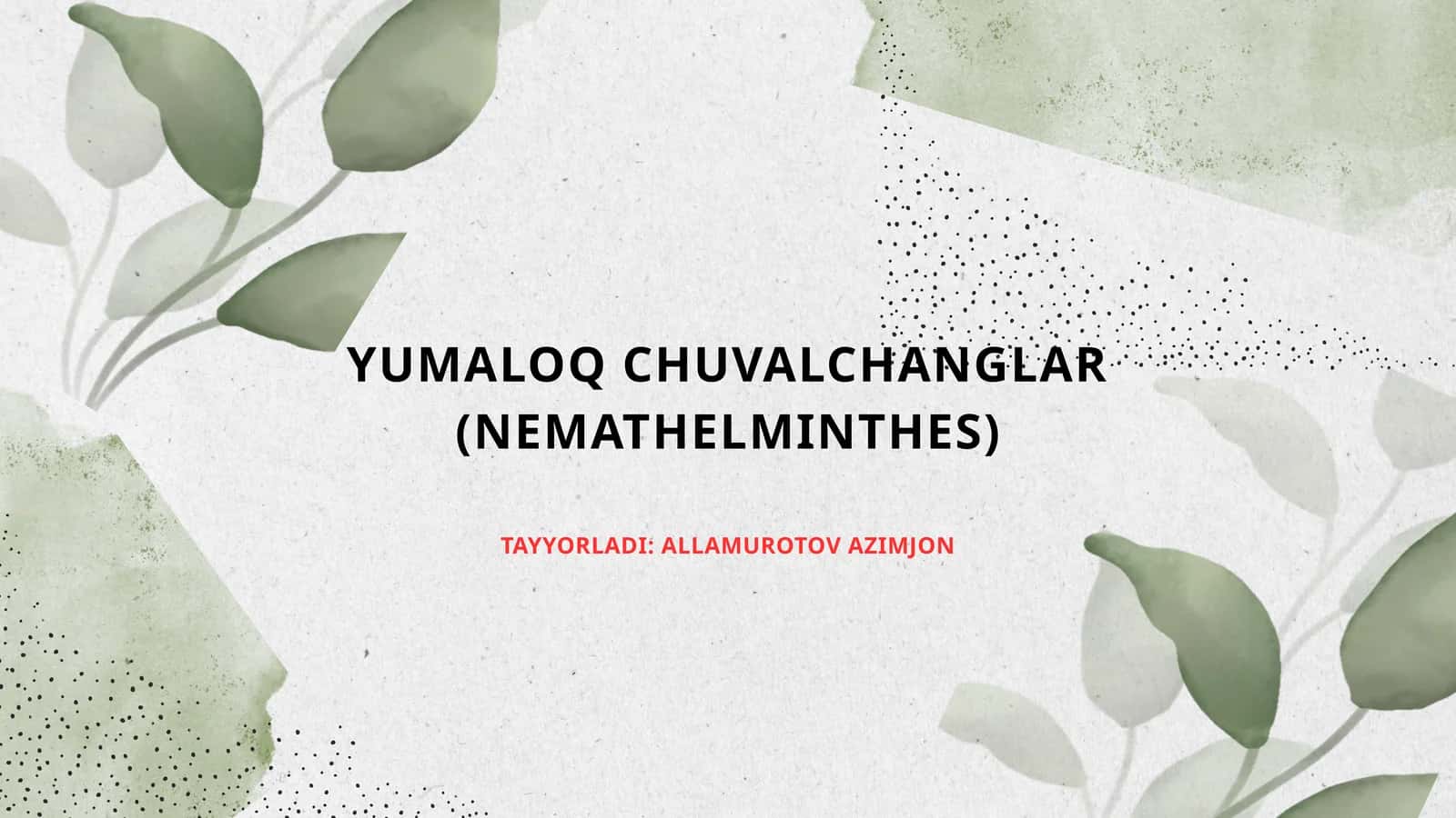 Yassi chuvalchanglar – odam parazitlari - so‘rg‘ichlilar jigar qurti, mushuk so‘rg‘ichi, lansetsimon so‘rg‘ich, o‘pka so‘rg‘ichi, shistosomalar (qon qurtlari). 1