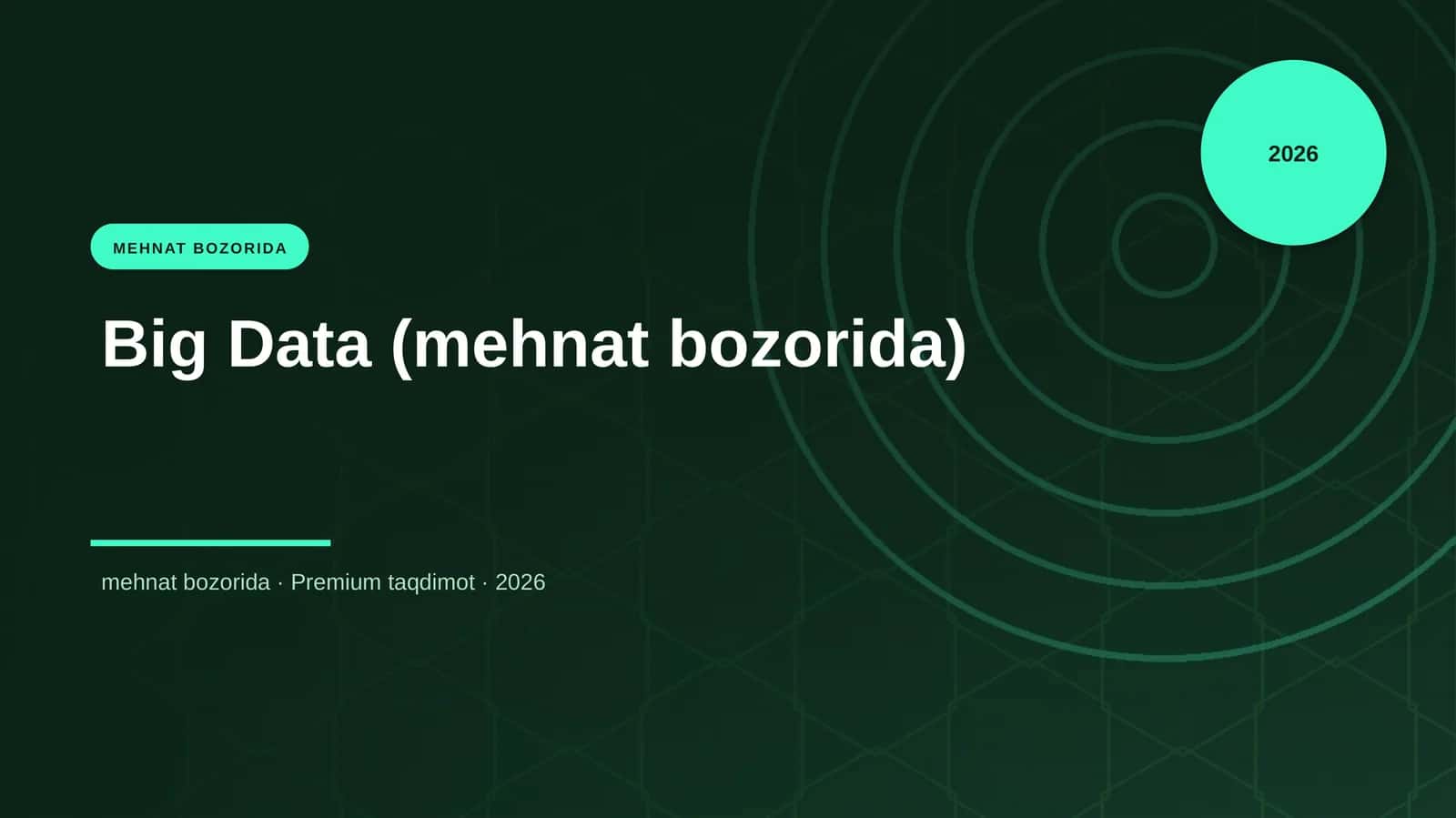 Big Data (mehnat bozorida) 1