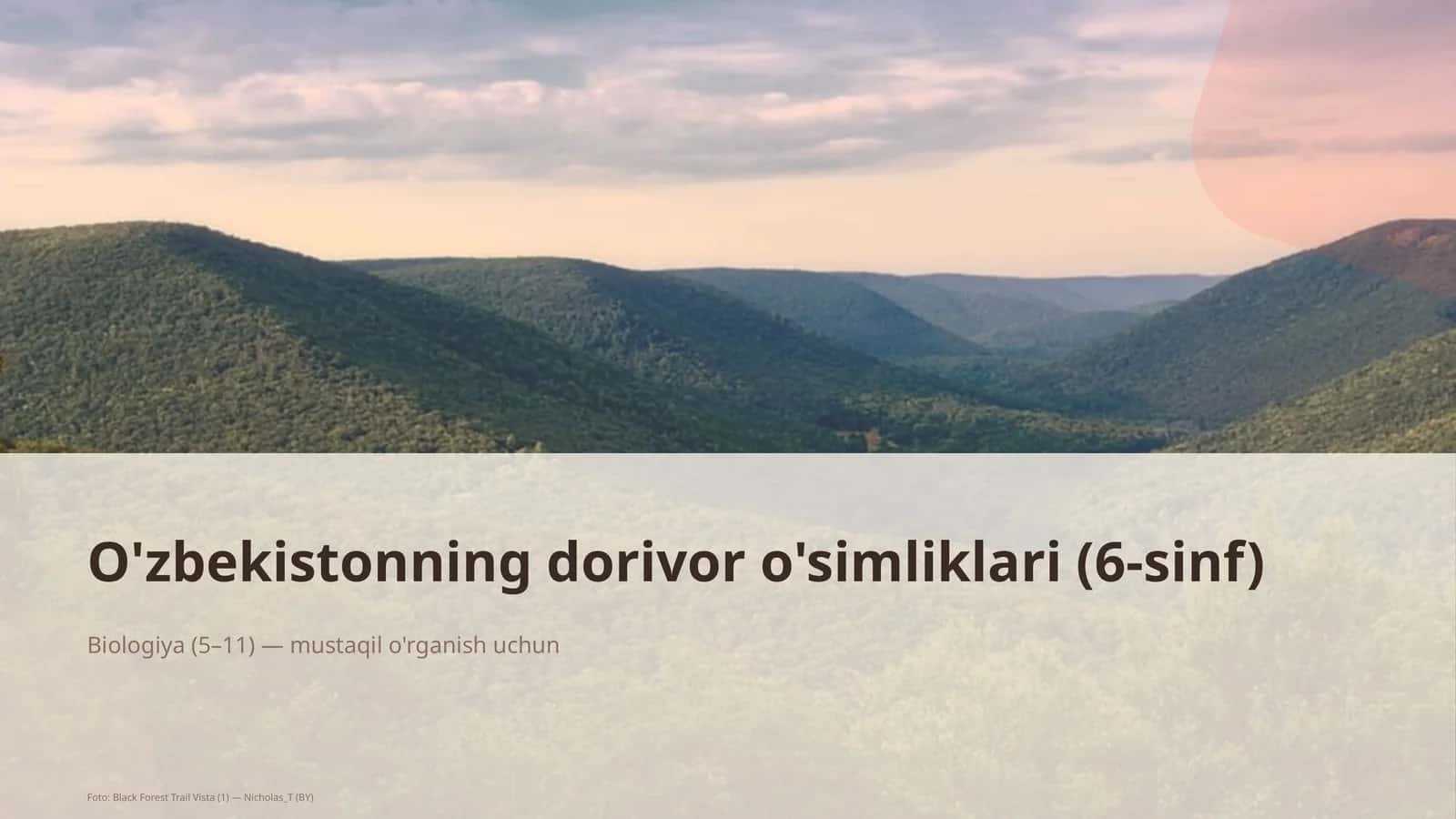 O'zbekistonning dorivor o'simliklari (6-sinf) 1