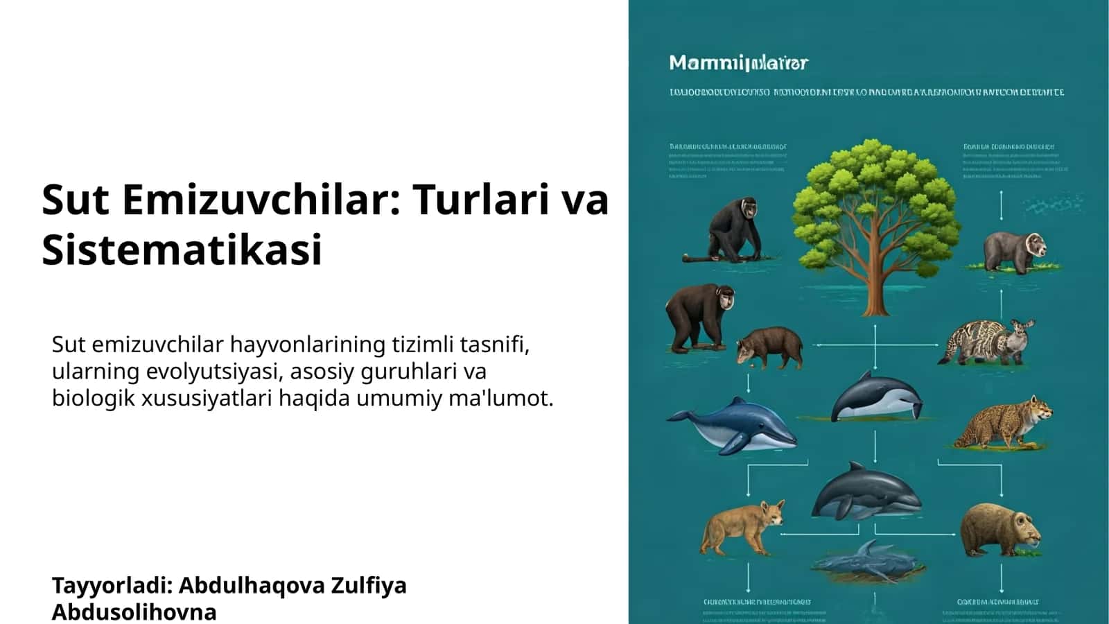 Sut Emizuvchilar: Turlari va Sistematikasi 1