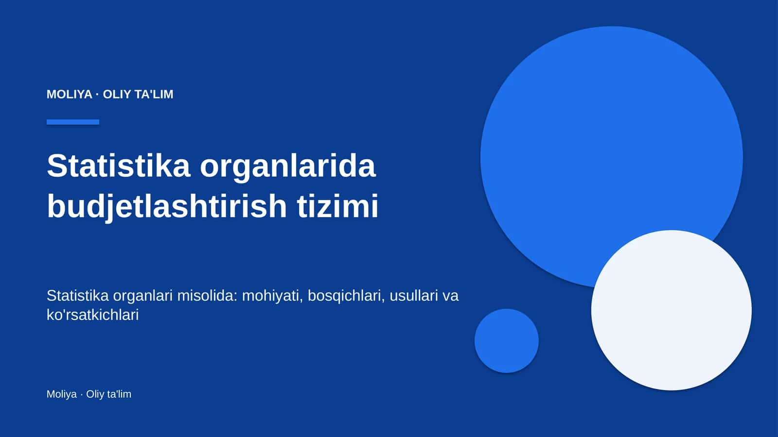 statistika organlarida budjetlashtirish tizimi 7308 1