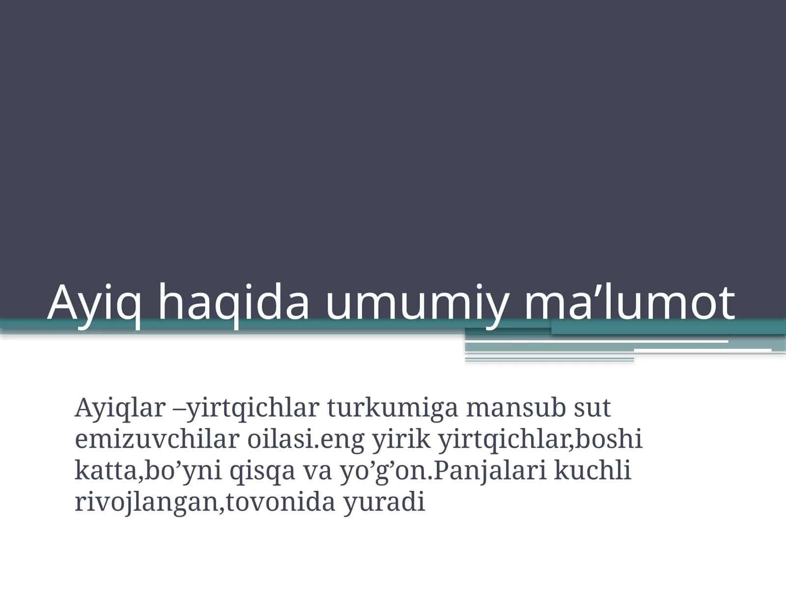 Ayiq haqida umumiy ma’lumot 1