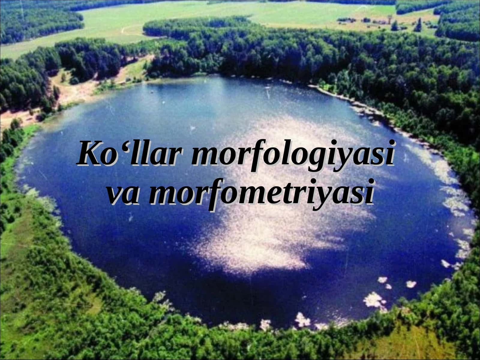Ko‘llar morfologiyasi va morfometriyasi 1