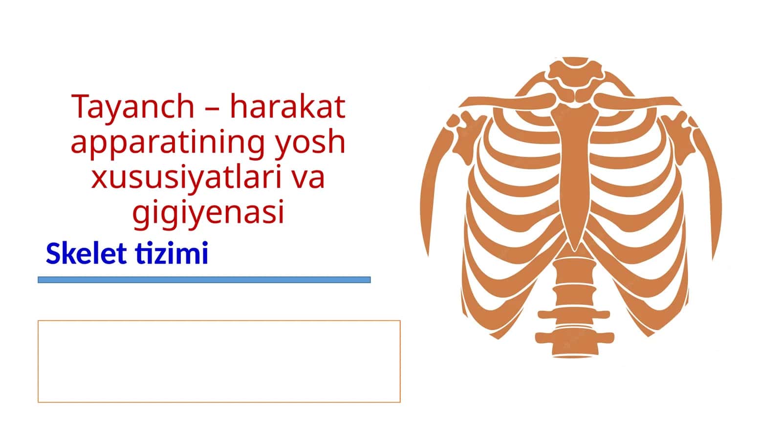 Tayanch – harakat apparatining yosh xususiyatlari va gigiyenasi 1