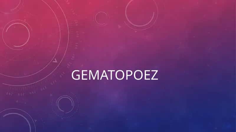 Gematopoez - qon hujayralari yaratilishi. 1