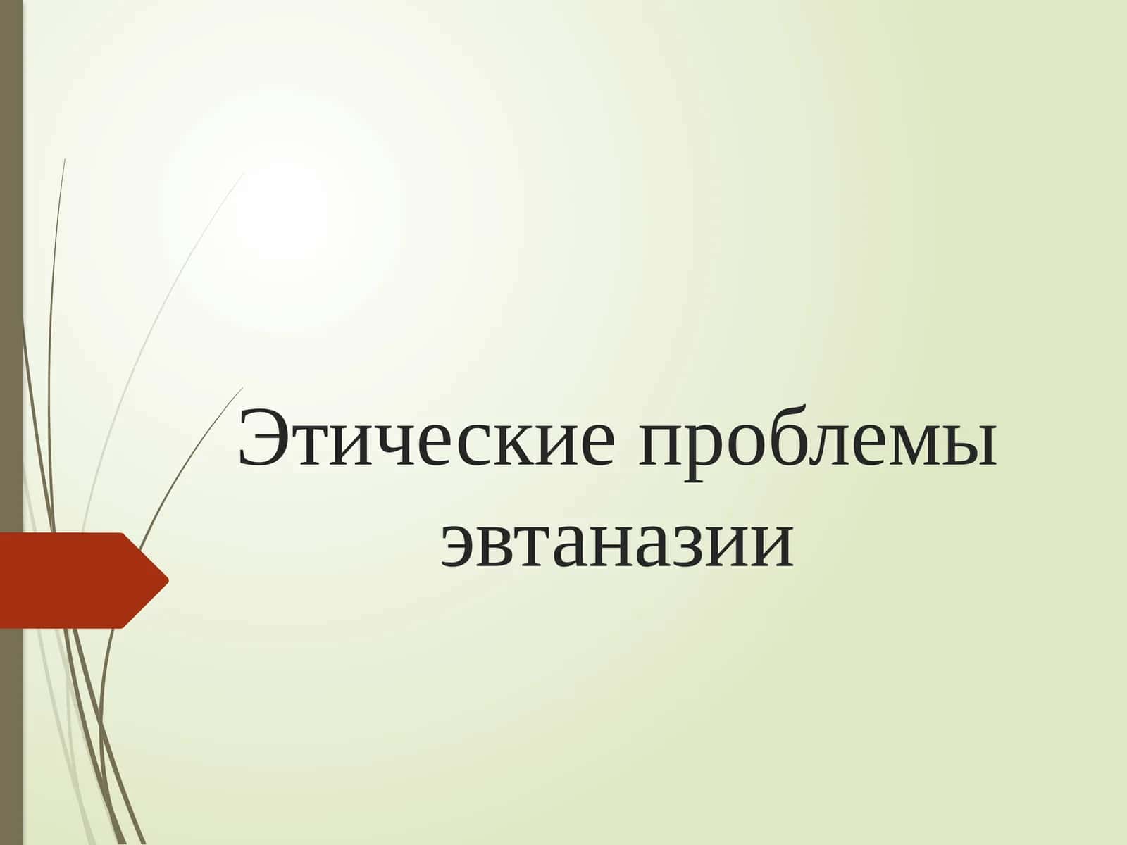 Этические проблемы эвтаназии 1