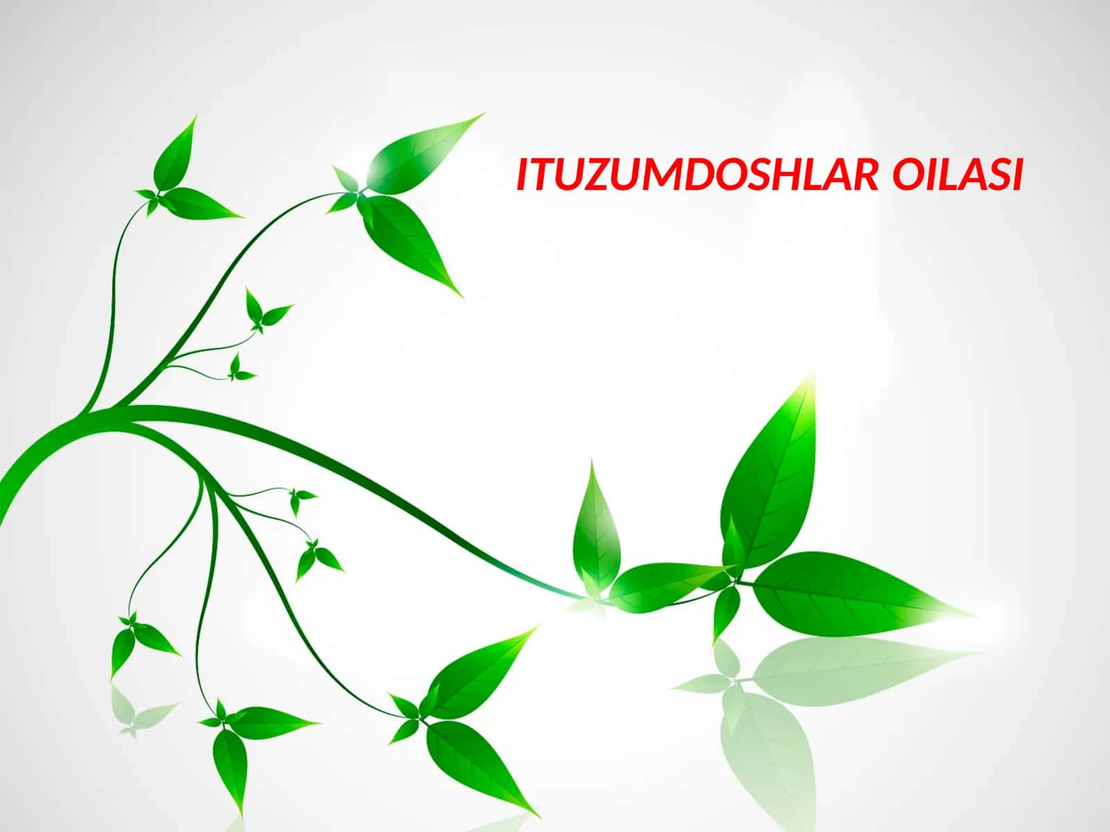 ITUZUMDOSHLAR OILASI 1