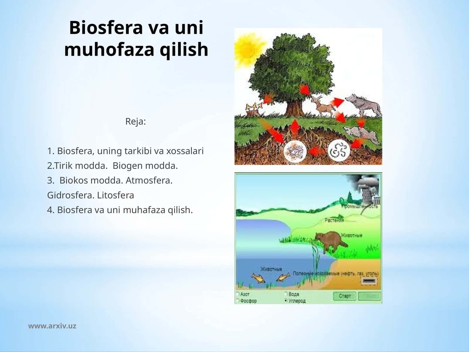 Biosfera va uni muhofaza qilish 1