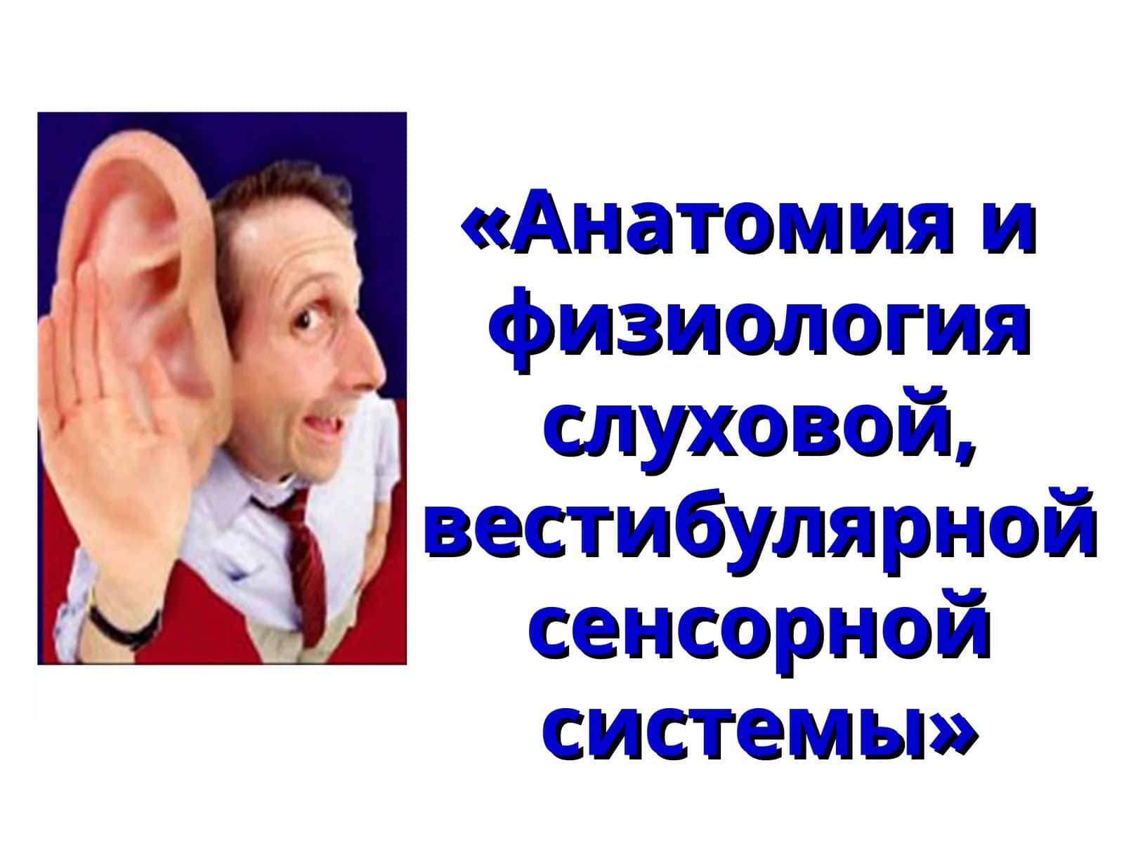 Анатомия и физиология слуховой, вестибулярной сенсорной системы 1