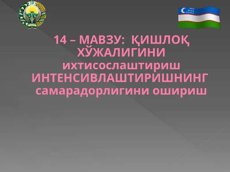 Қишлоқ Хўжалигини Ихтисослаштириш Интенсивлаштириш 1
