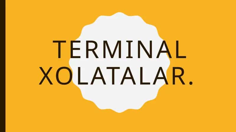 Terminal holatalar 1