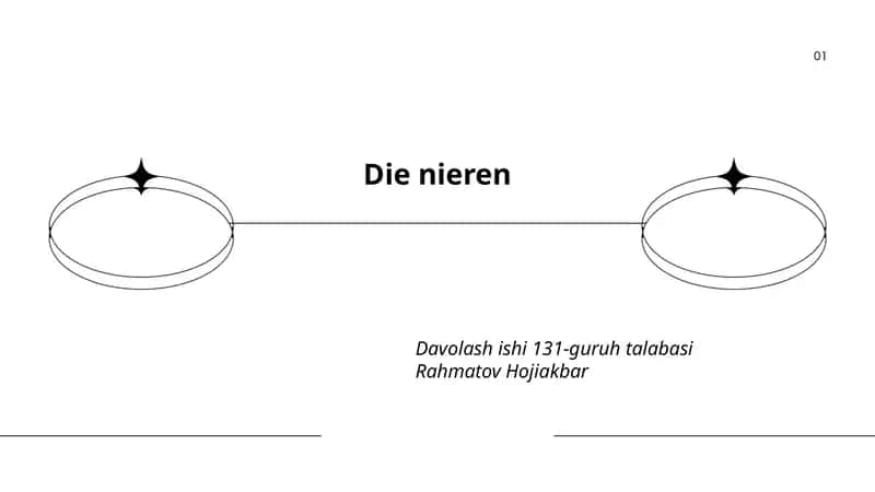 Die nieren