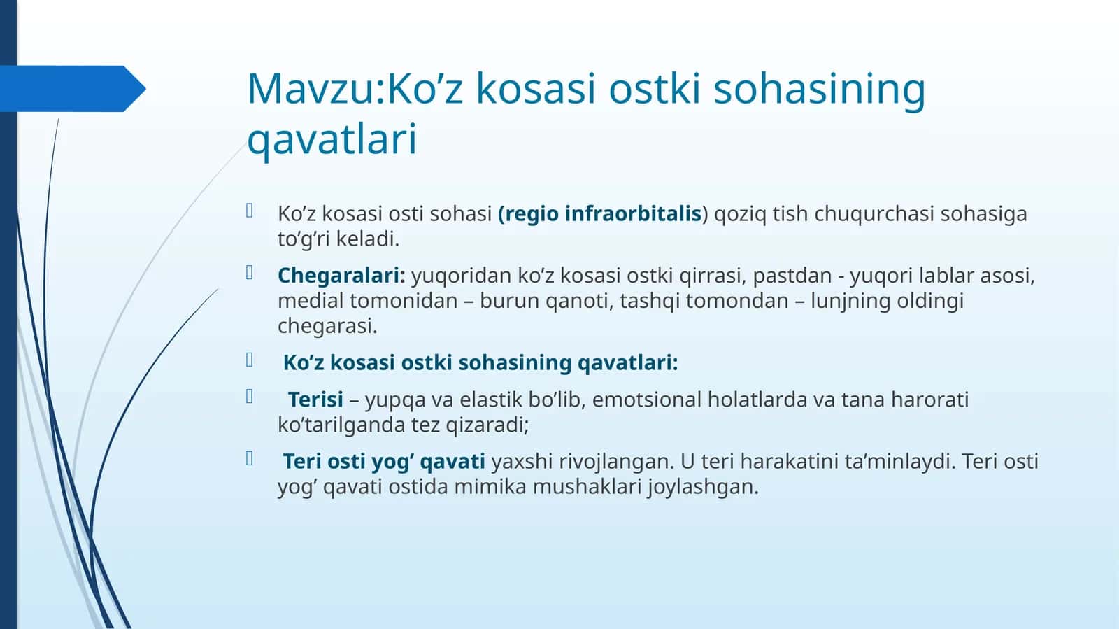 Ko'z kosasi ostki sohasining qavatlari 1