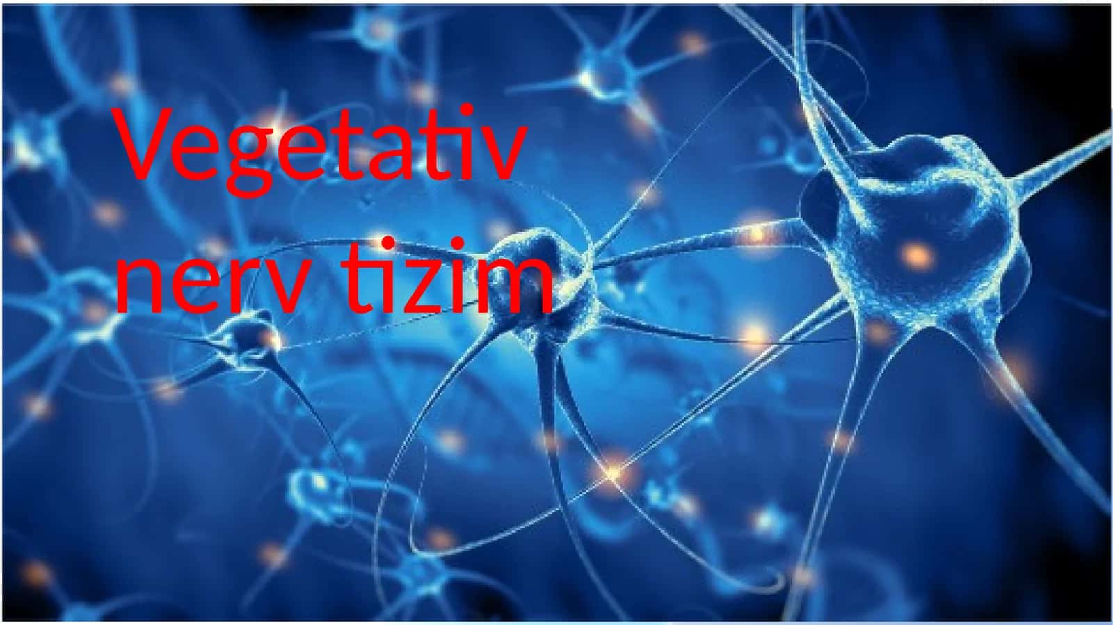 Vegetativ nerv tizimi 1