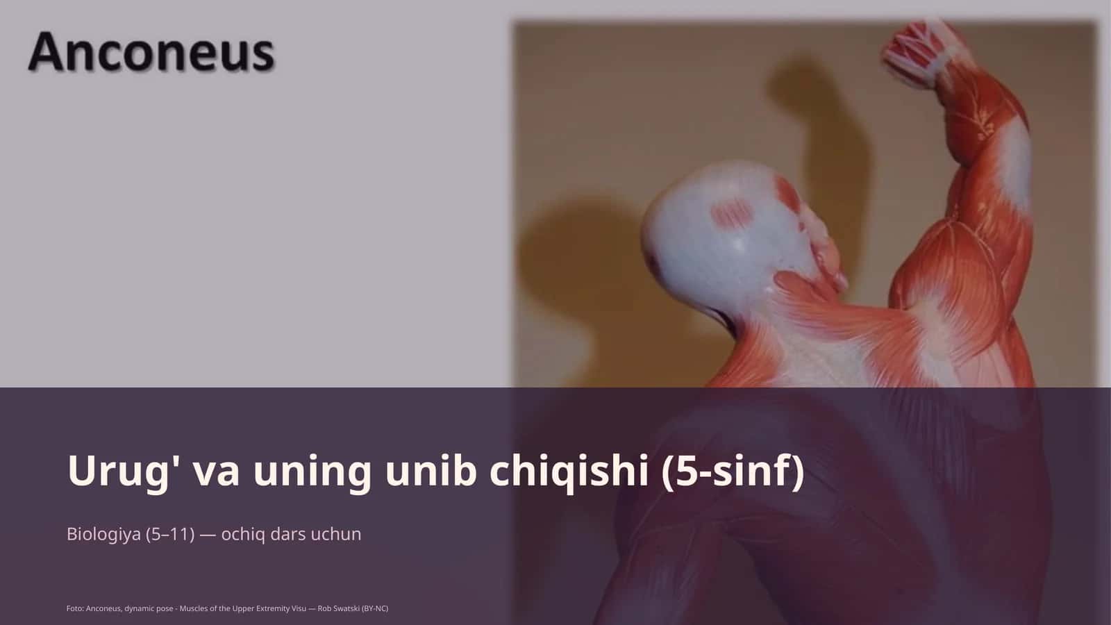 Urug' va uning unib chiqishi (5-sinf) 1