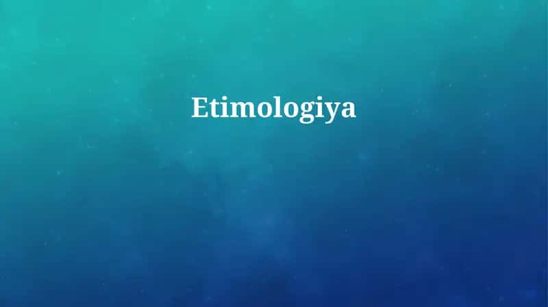Etimologiya 1