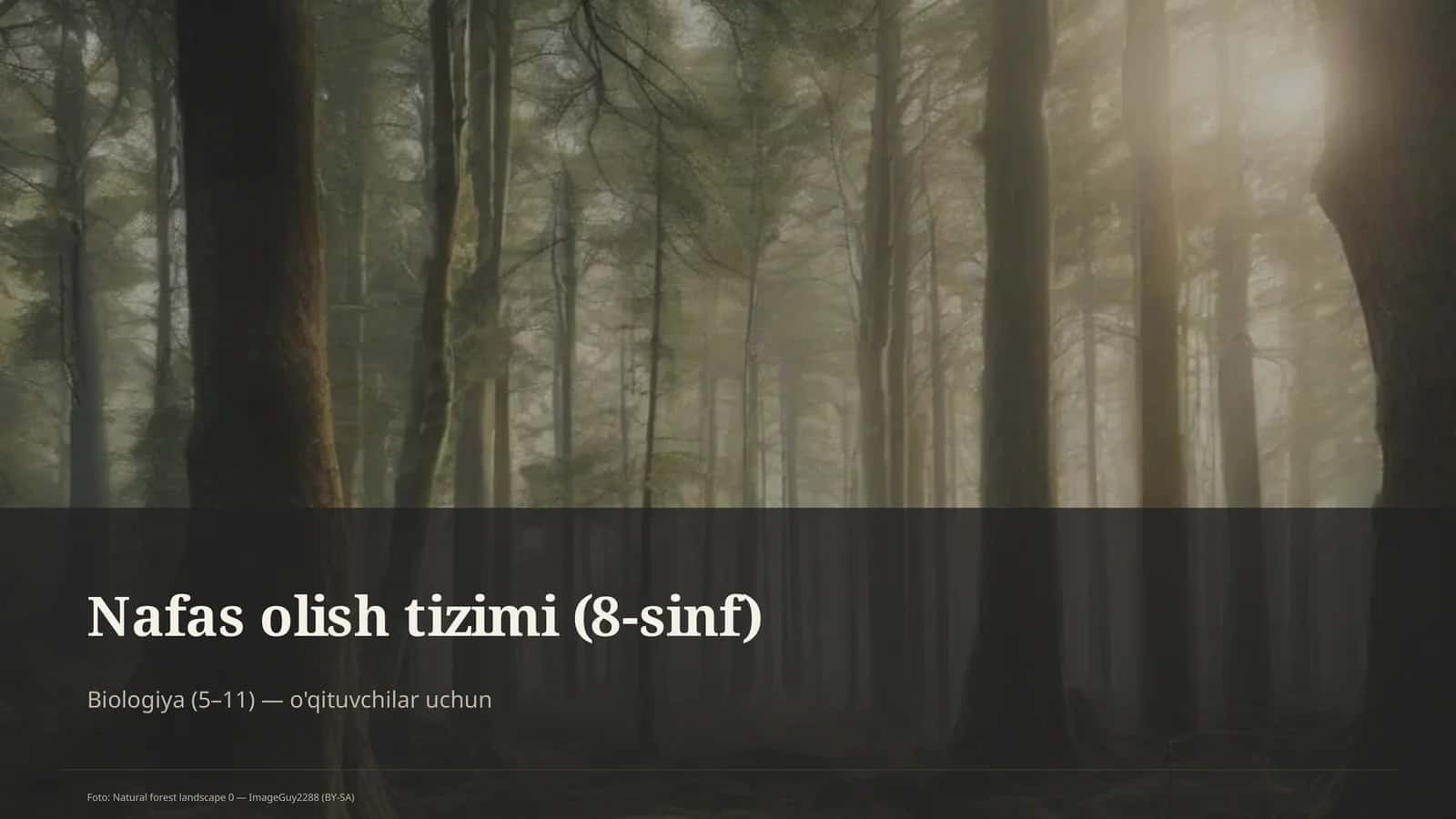 Nafas olish tizimi (8-sinf) 1