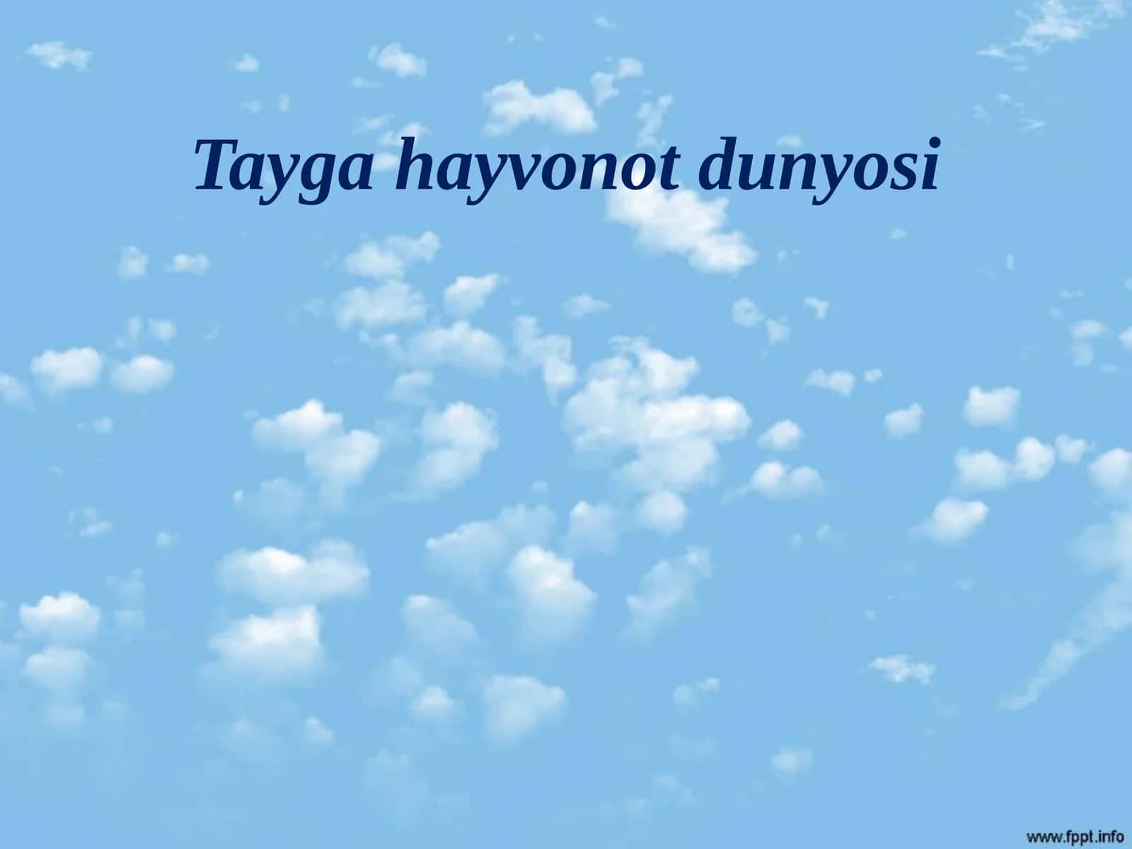 Biologiya - Tayga hayvonot dunyosi 1