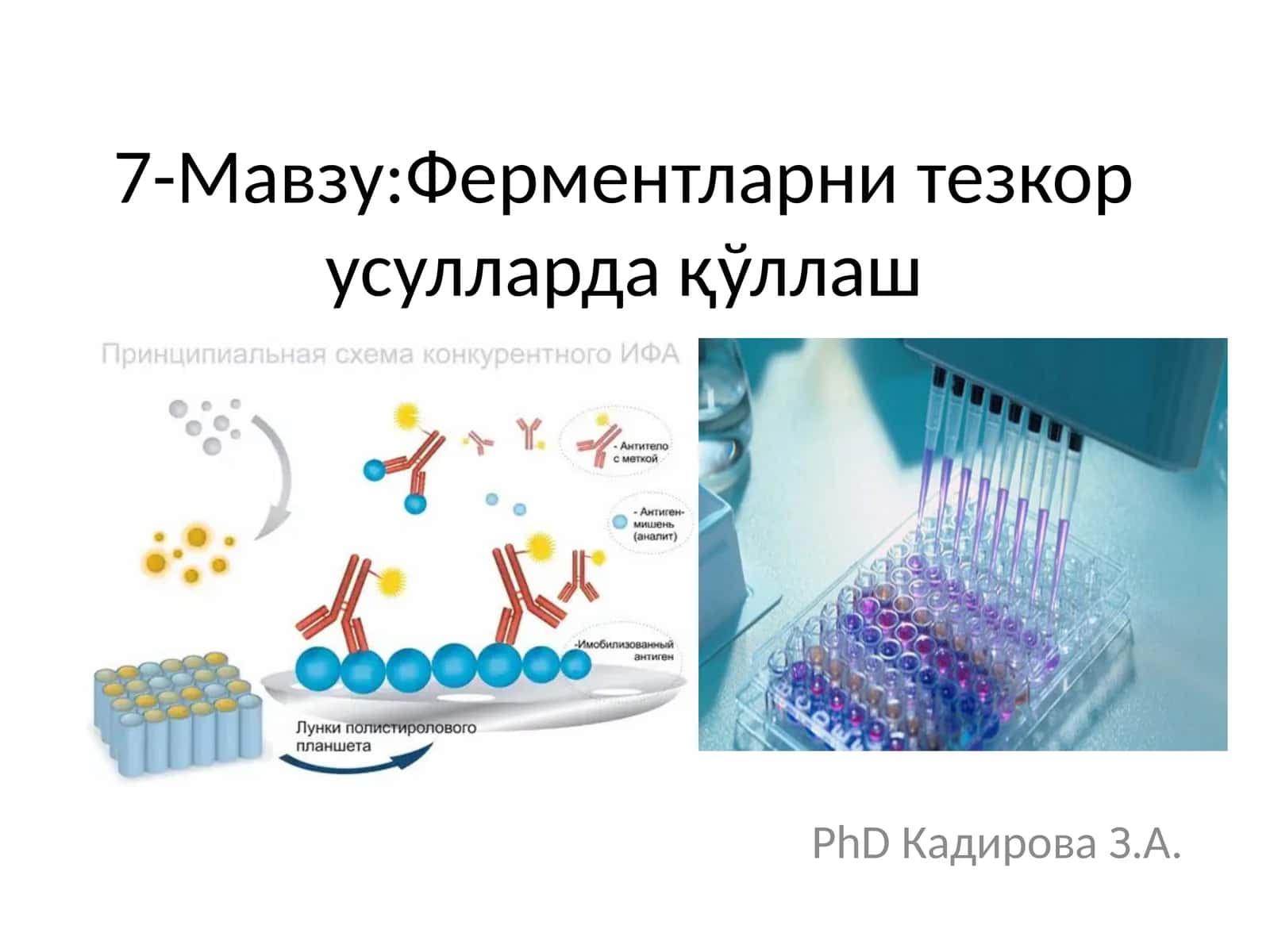 Ферментларни тезкор усулларда қўллаш 1