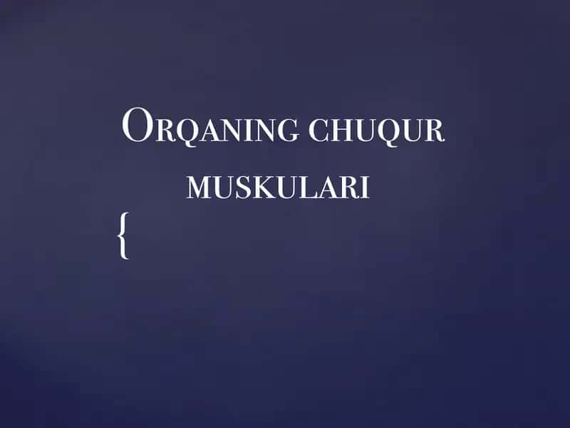 Orqaning chuqur muskullari 1