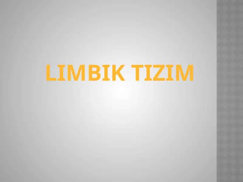 Limbiktizim 1