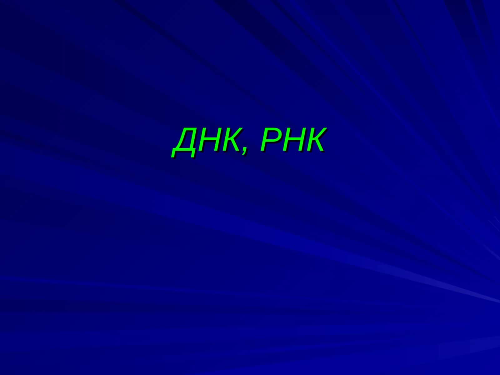 ДНК, РНК 1