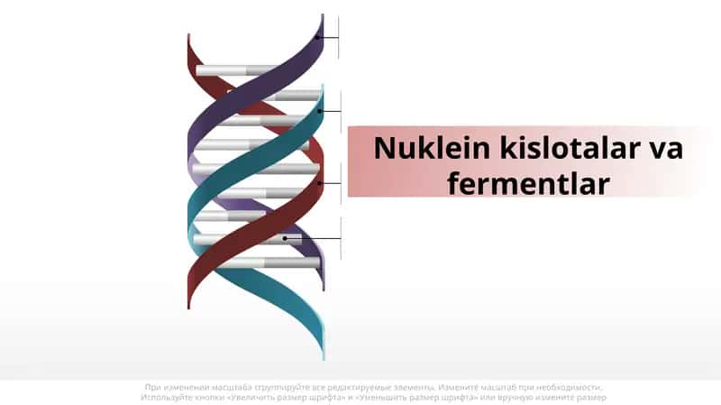 Nukleinkislotalar 1