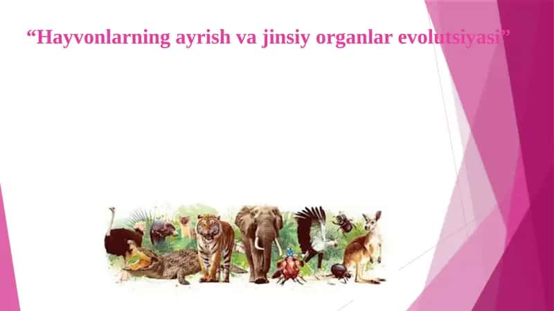 Hayvonlarning ayrish va jinsiy organlar evolutsiyasi 1