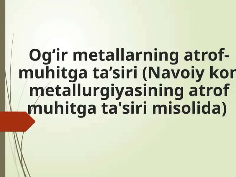 Og‘ir metallarning atrof-muhitga ta’siri (Navoiy kon metallurgiyasining atrof muhitga ta'siri misolida) 1