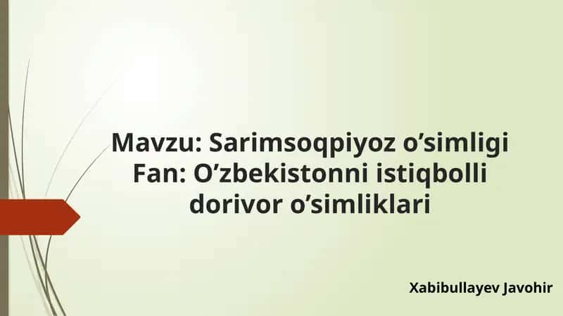 Sarimsoqpiyoz o'simligi 1